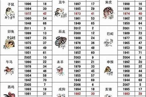 2003 年 生肖|2003年出生的属什么,2003年是什么生肖